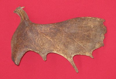 Picture of this lot Moose Antler Sides