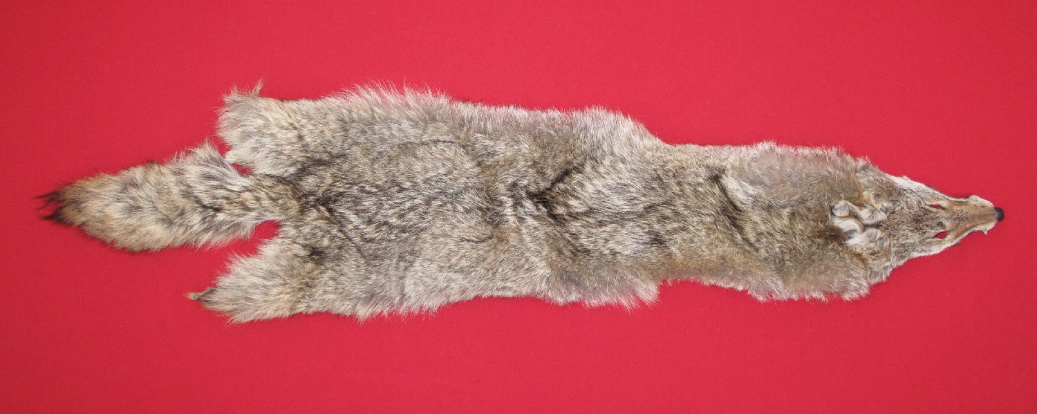 Thumbnail of this picture