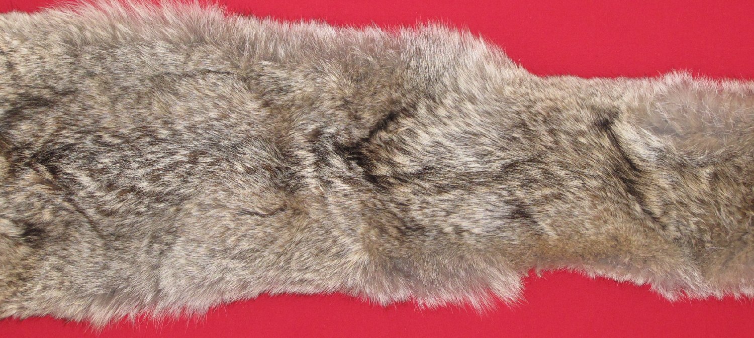 Thumbnail of this picture