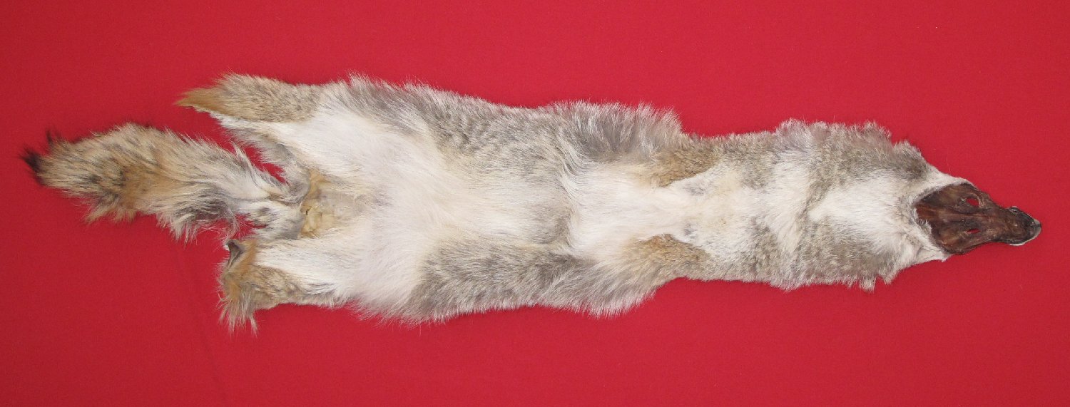 Thumbnail of this picture