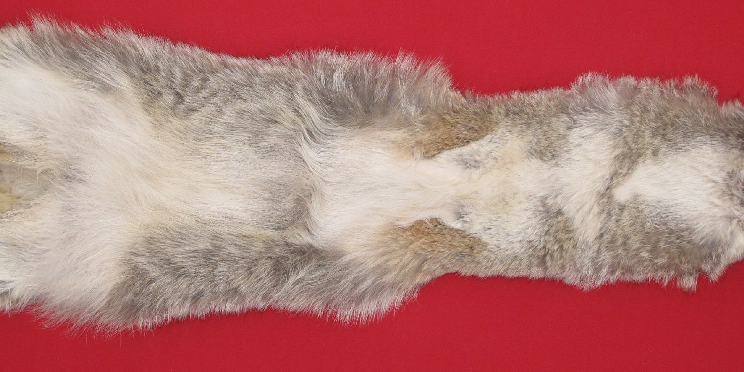 Thumbnail of this picture