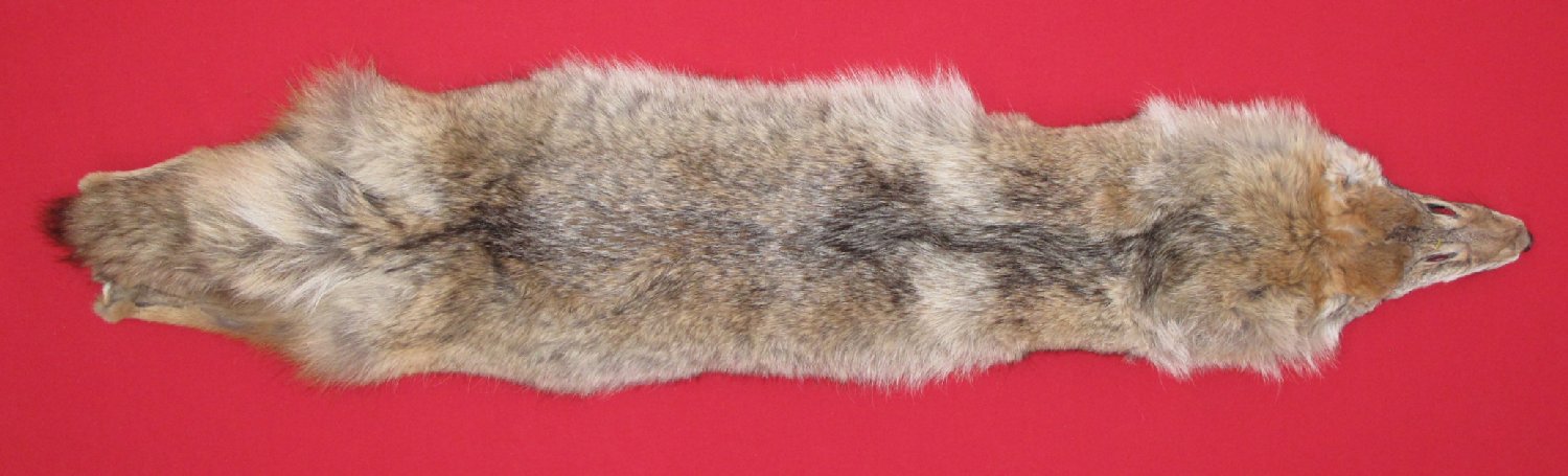 Thumbnail of this picture