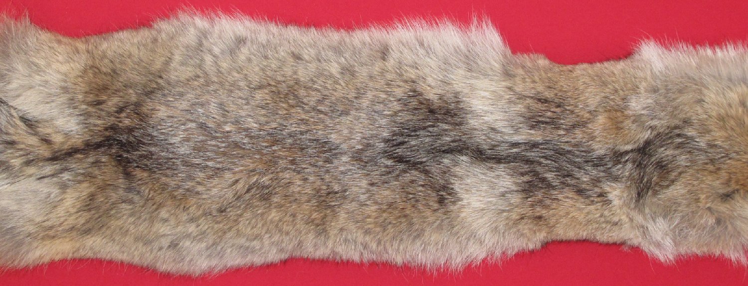 Thumbnail of this picture