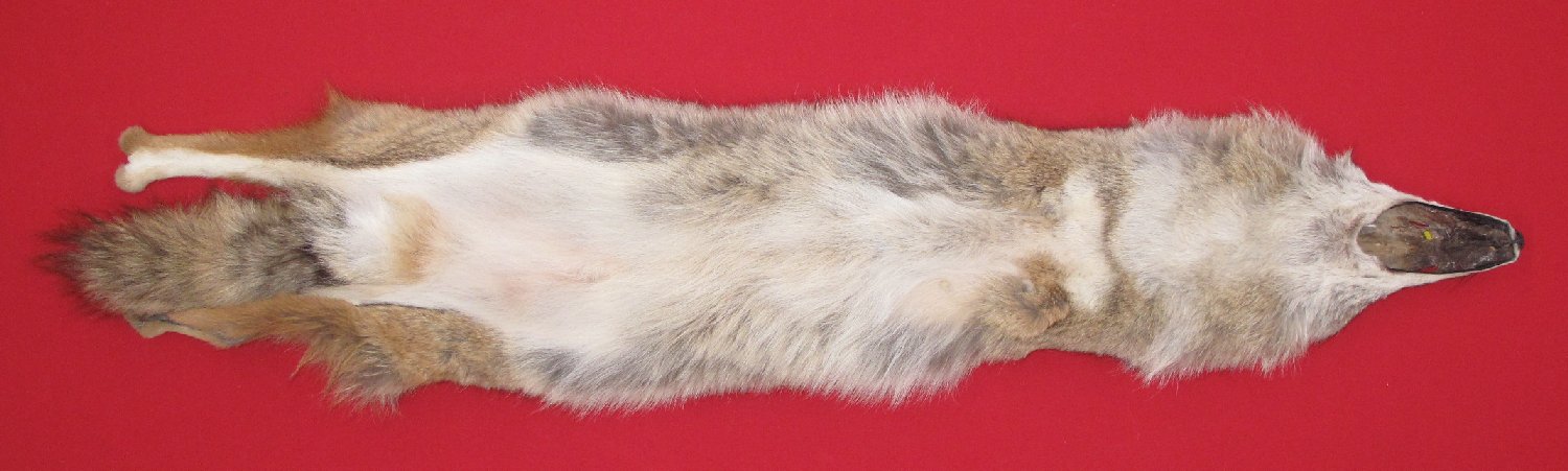 Thumbnail of this picture