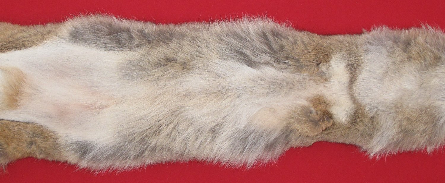 Thumbnail of this picture