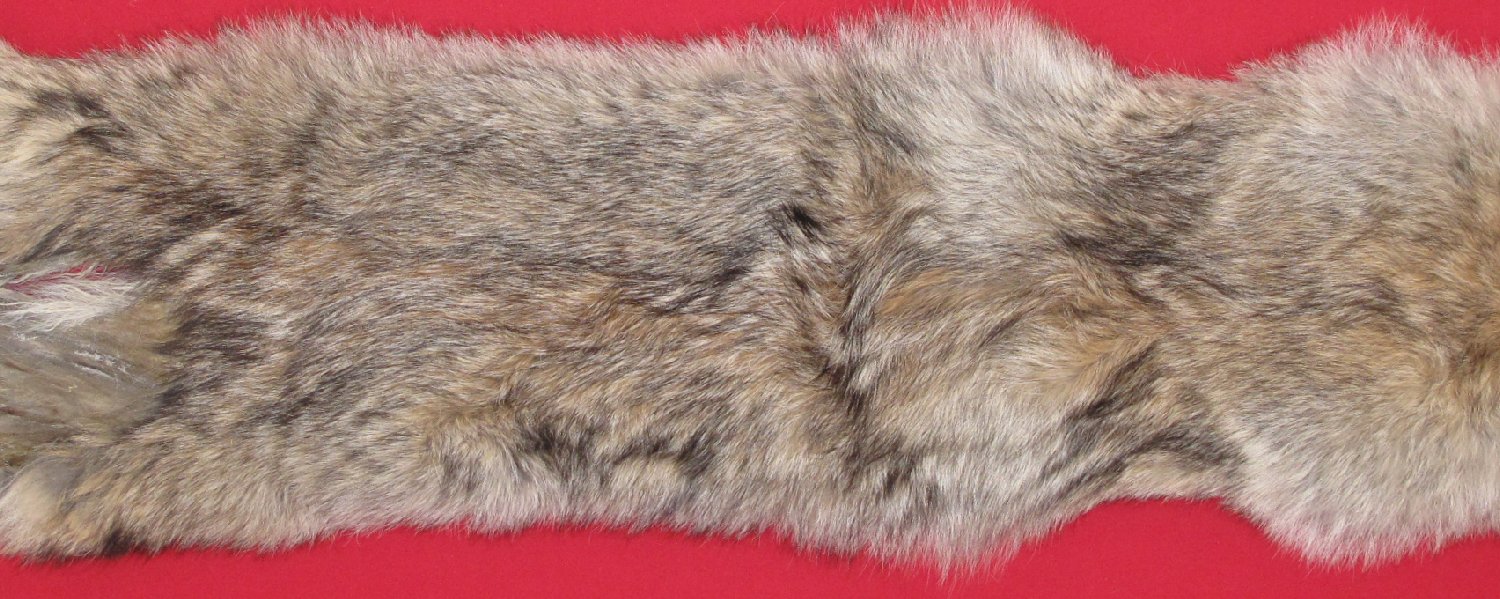 Thumbnail of this picture