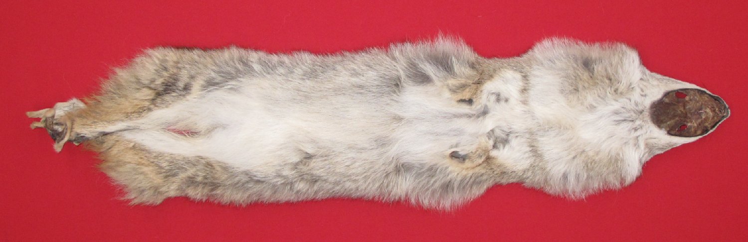 Thumbnail of this picture