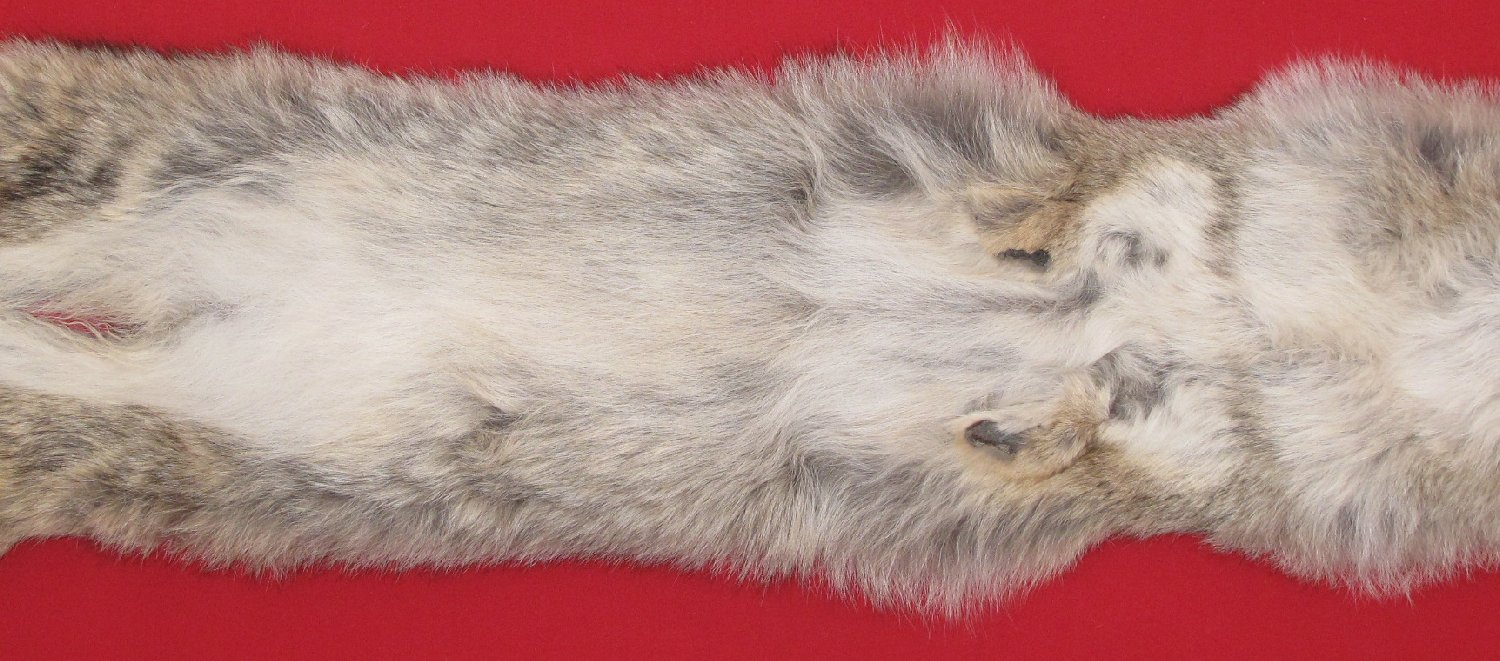 Thumbnail of this picture