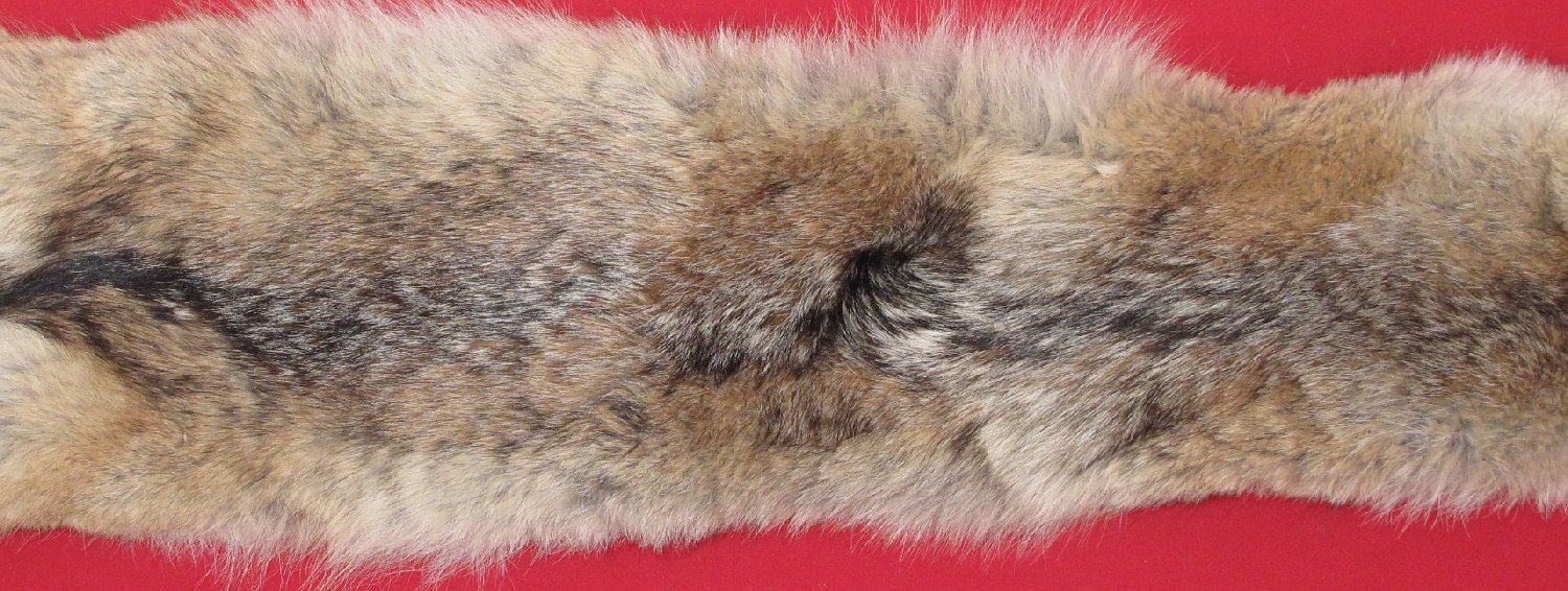 Thumbnail of this picture