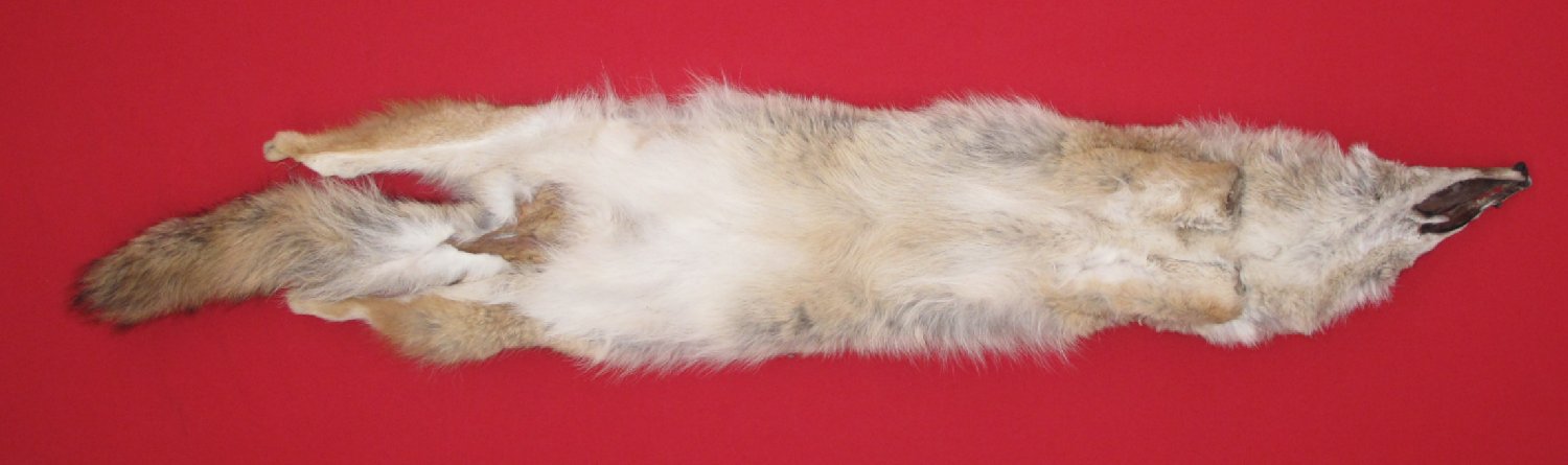 Thumbnail of this picture