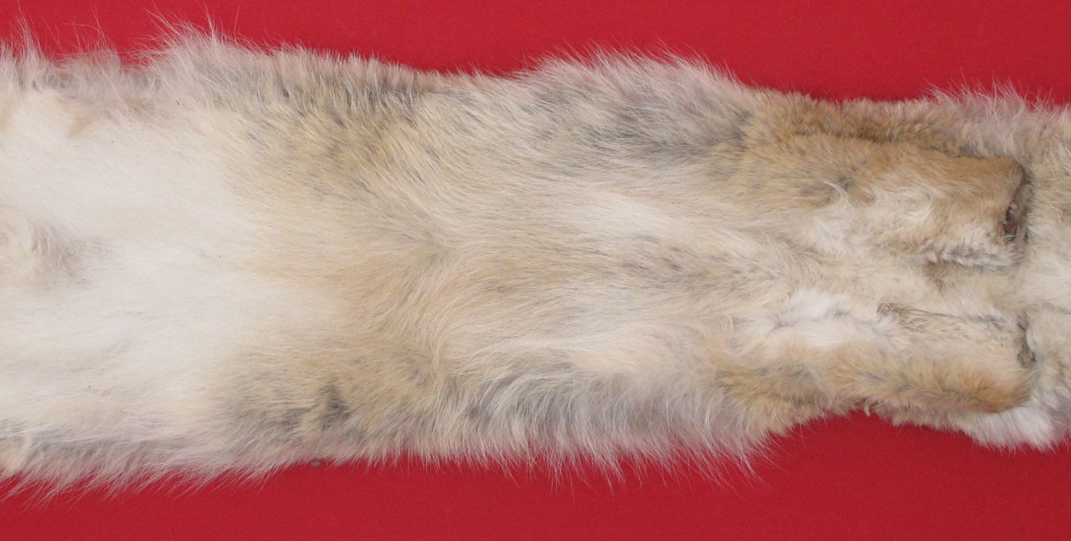 Thumbnail of this picture