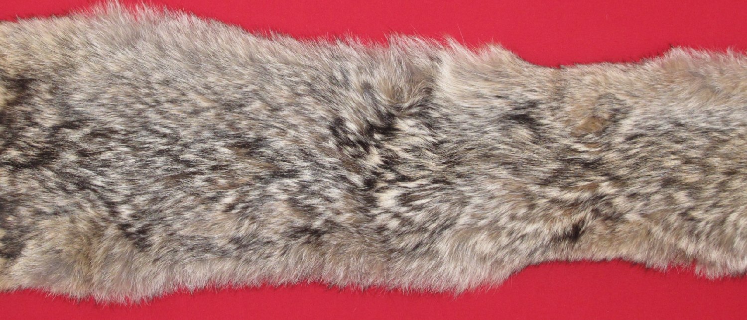 Thumbnail of this picture