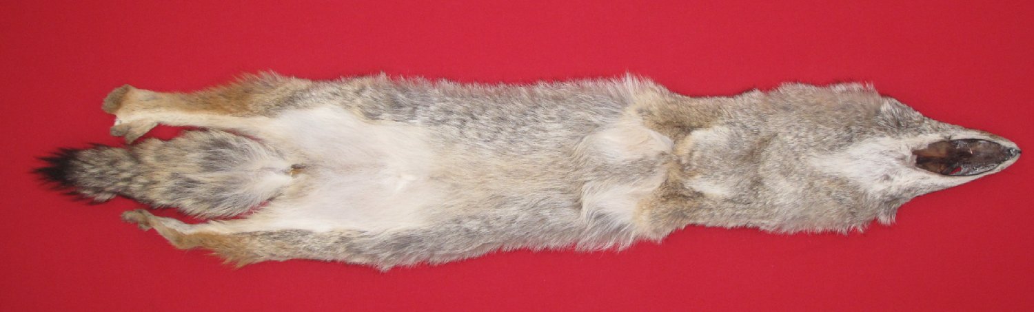 Thumbnail of this picture