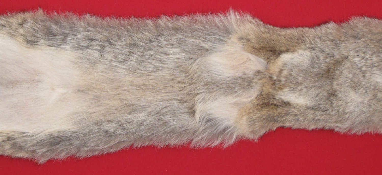 Thumbnail of this picture