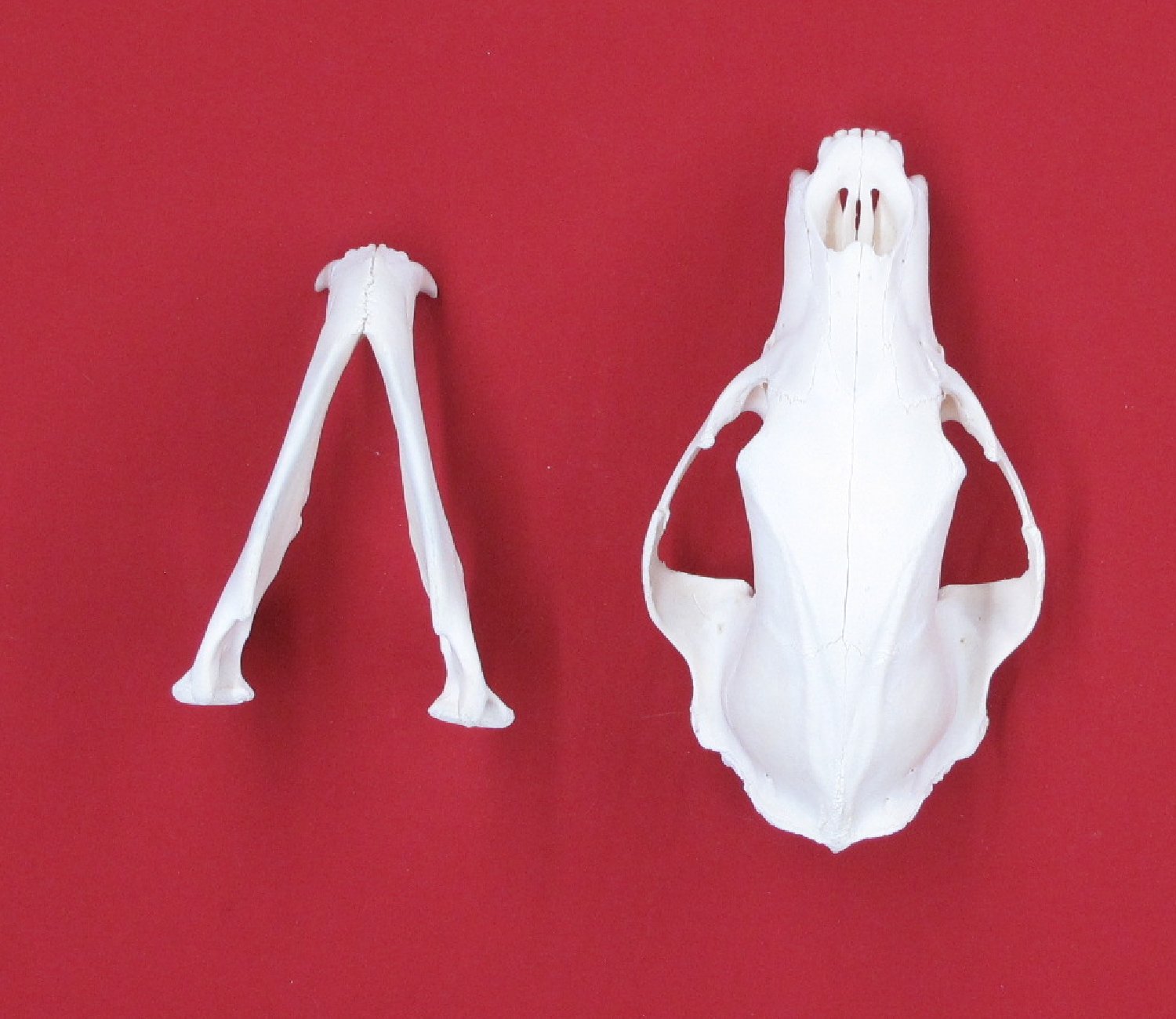 Thumbnail of this picture