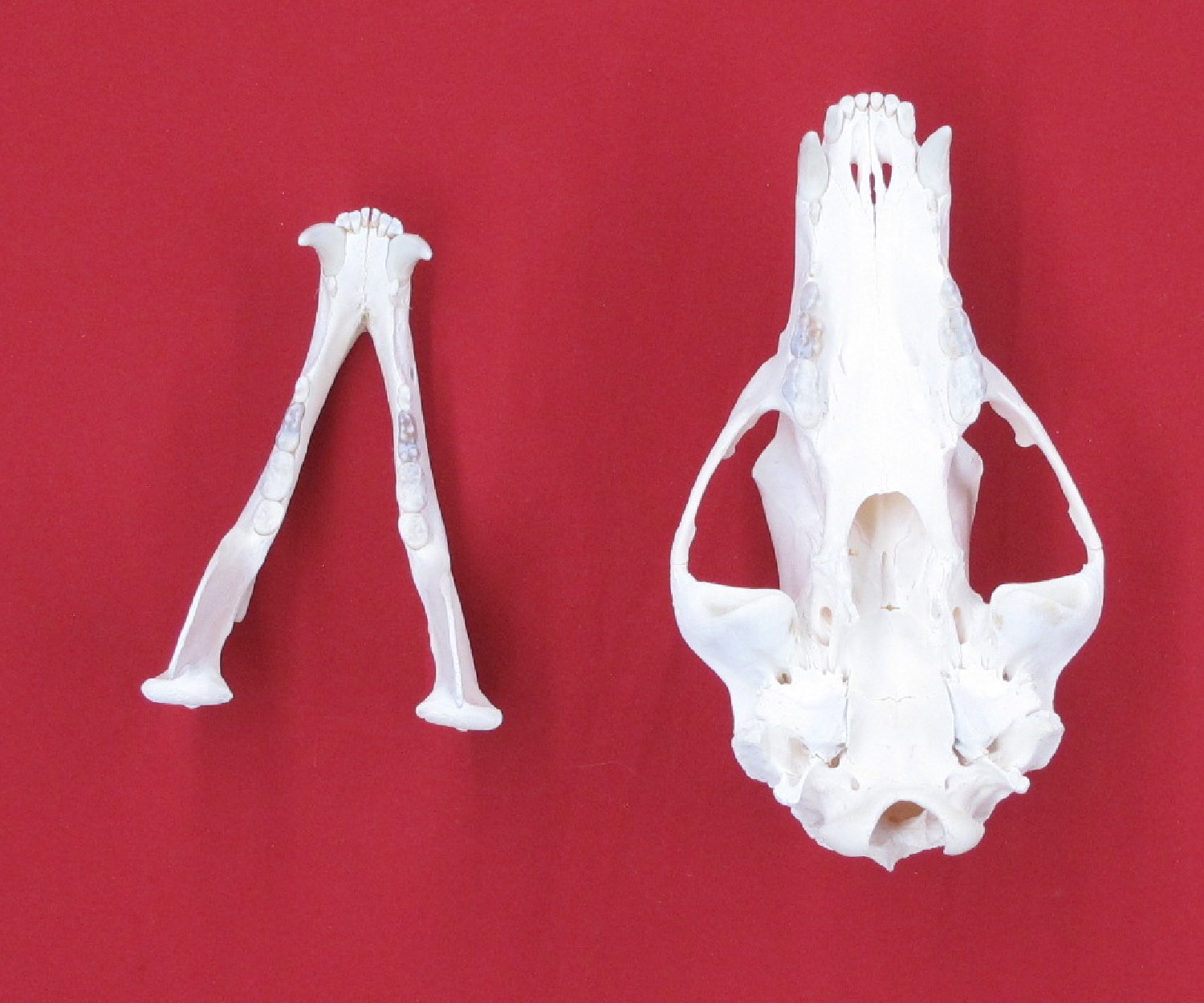 Thumbnail of this picture