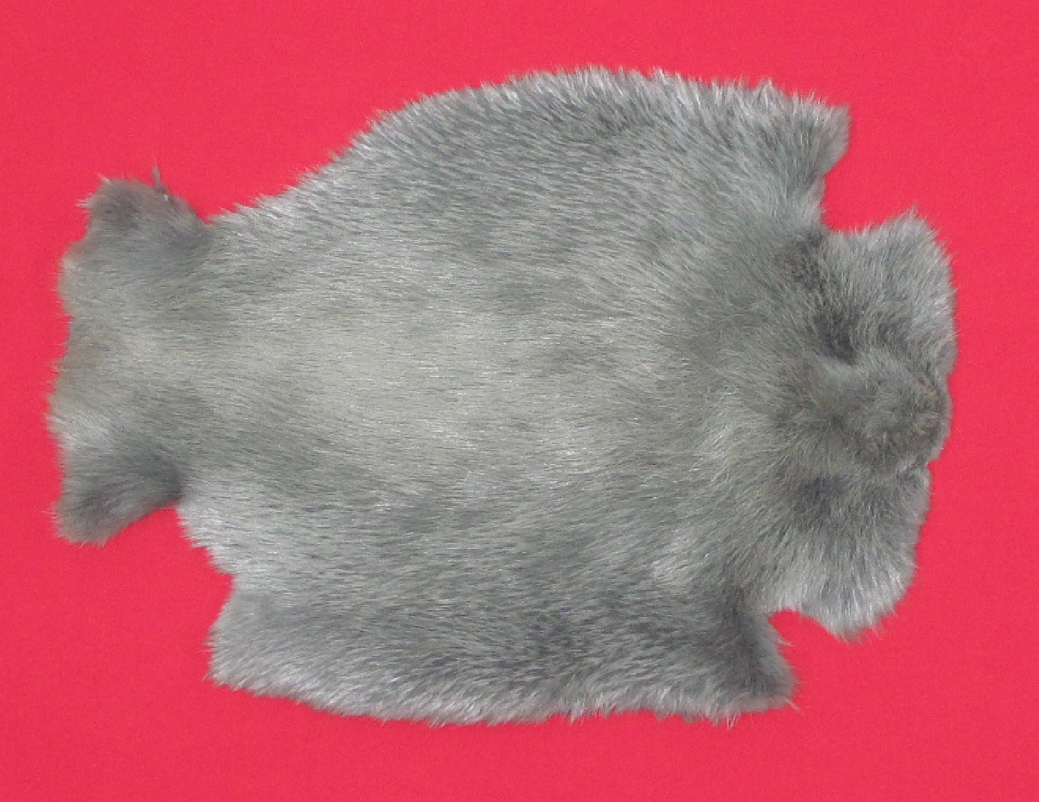 Thumbnail of this picture