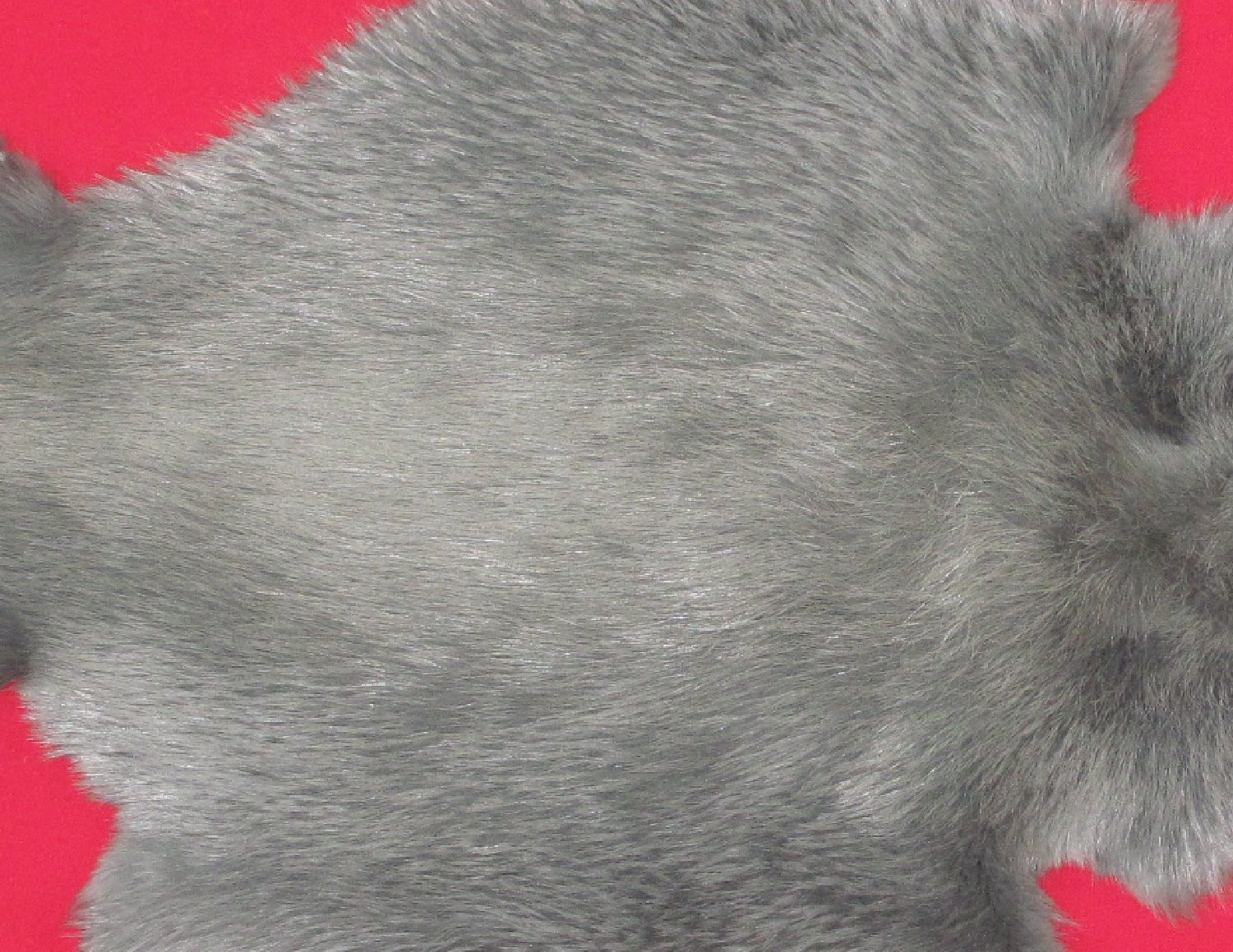 Thumbnail of this picture