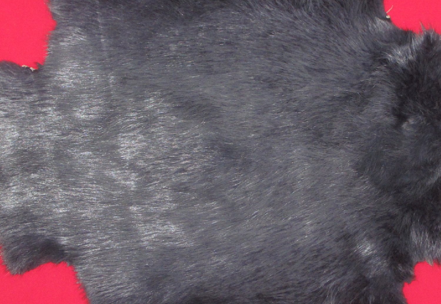 Thumbnail of this picture