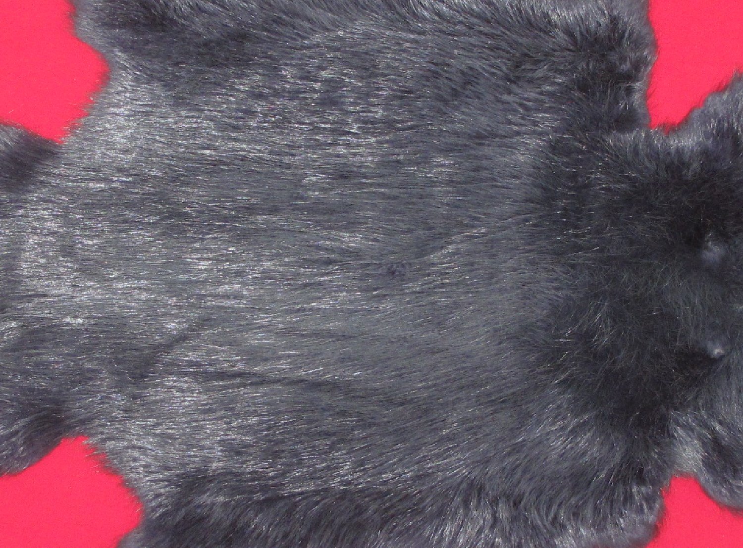 Thumbnail of this picture