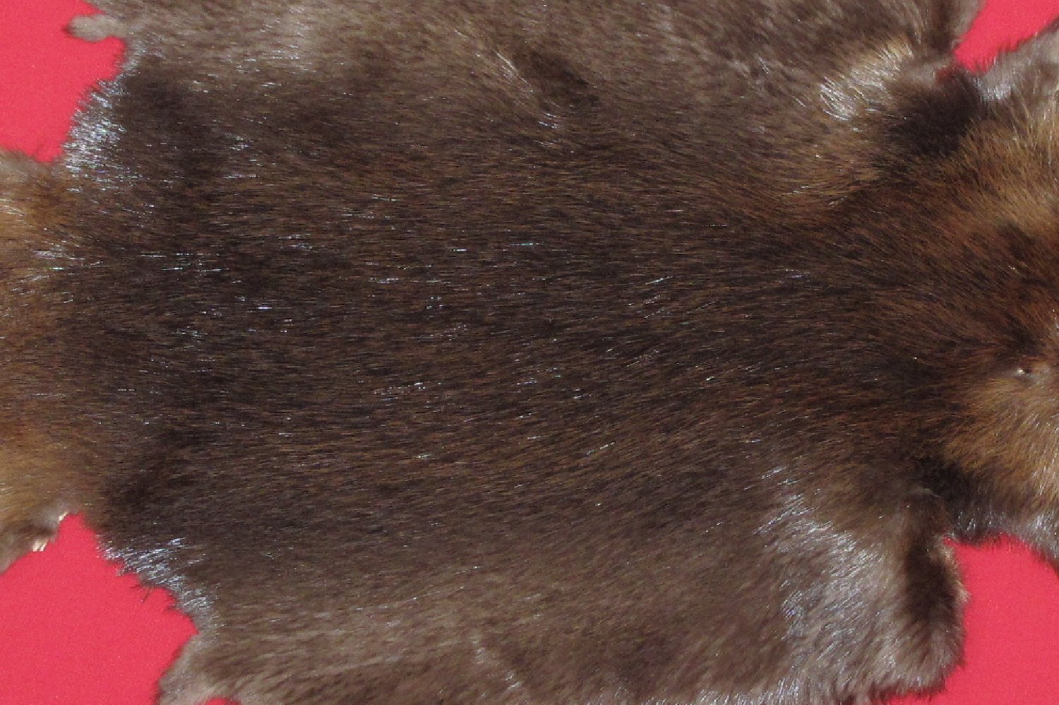 Thumbnail of this picture