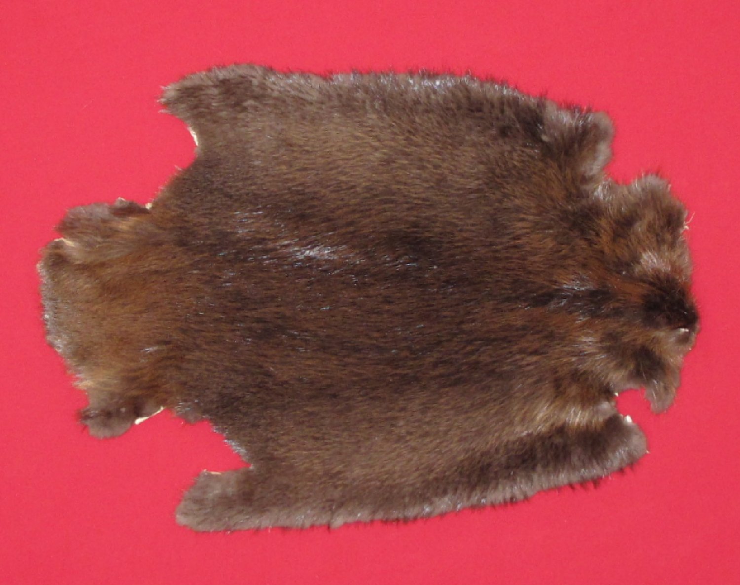 Thumbnail of this picture