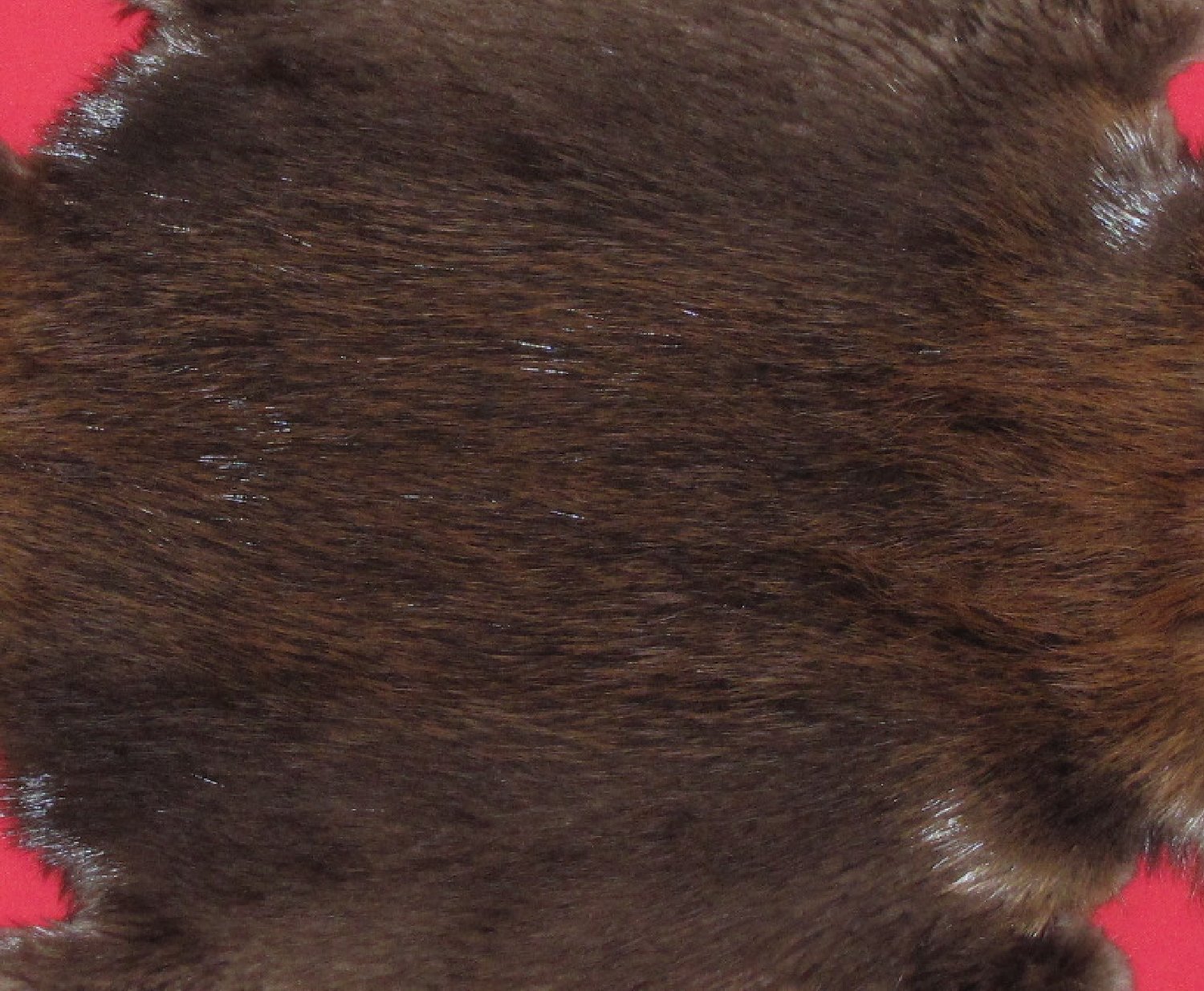 Thumbnail of this picture