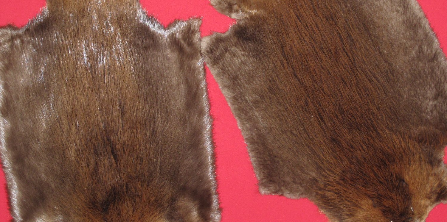 Thumbnail of this picture