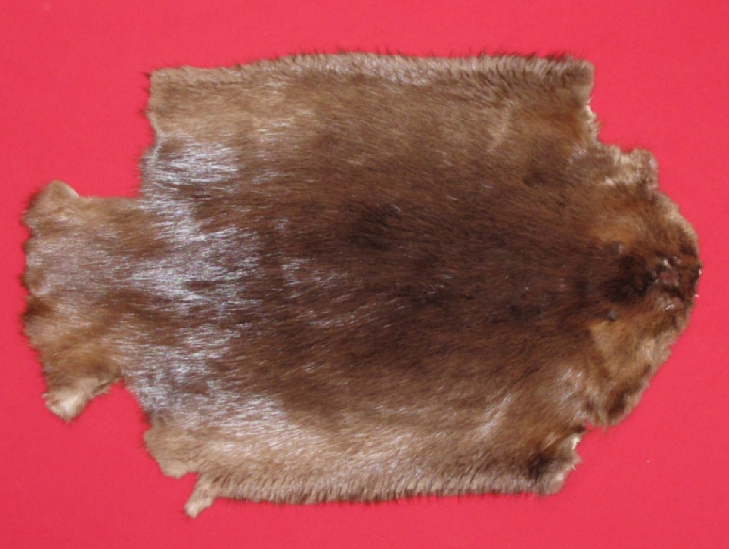 Thumbnail of this picture