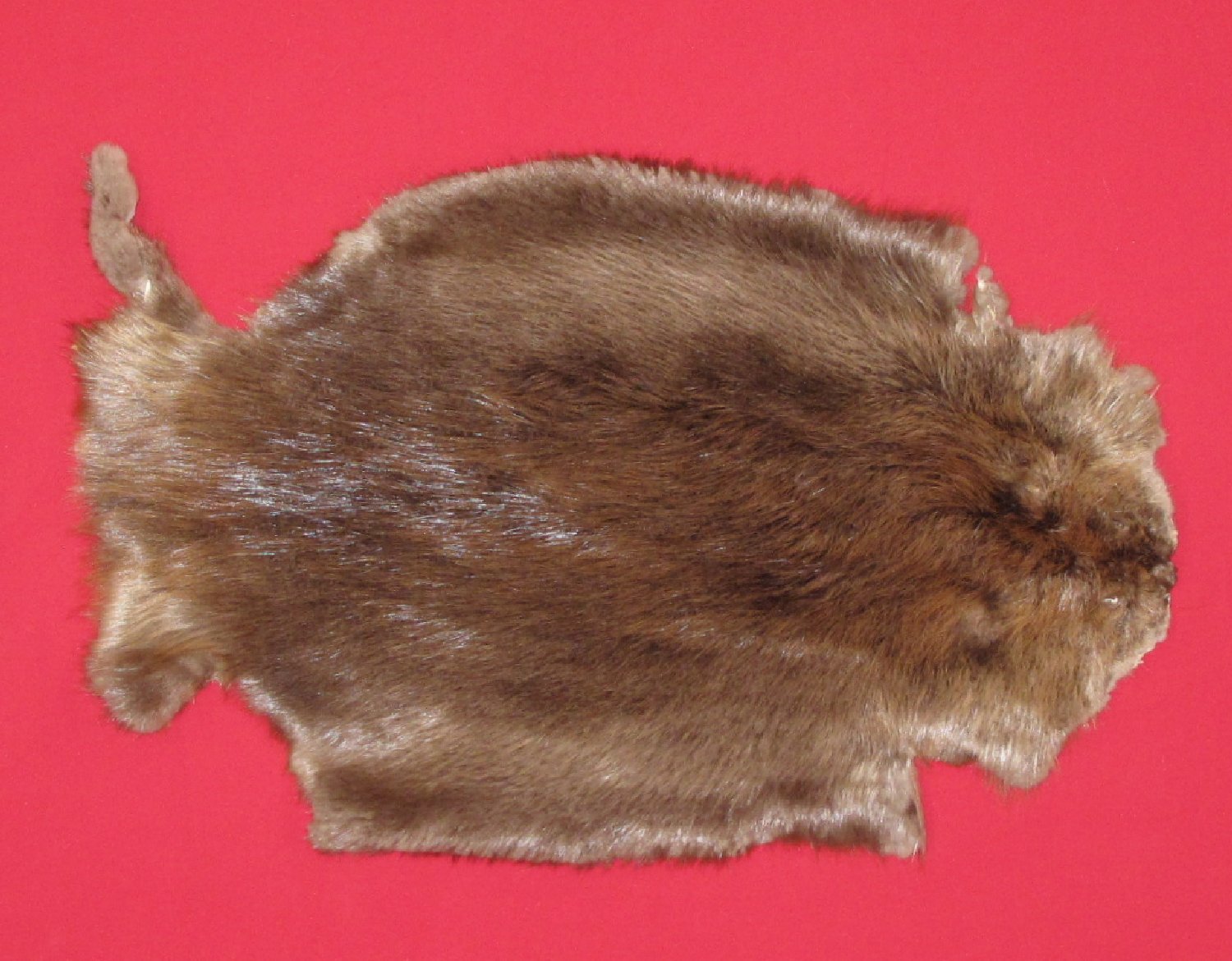 Thumbnail of this picture