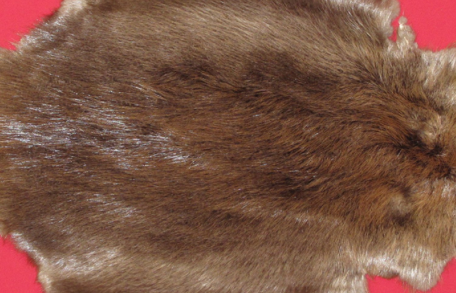 Thumbnail of this picture