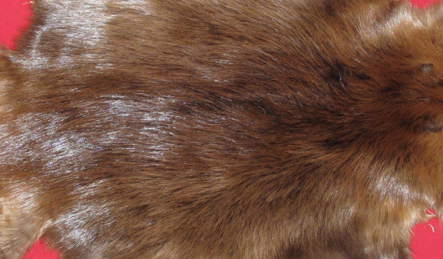 Thumbnail of this picture