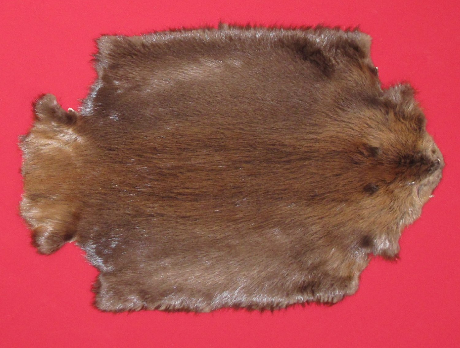 Thumbnail of this picture