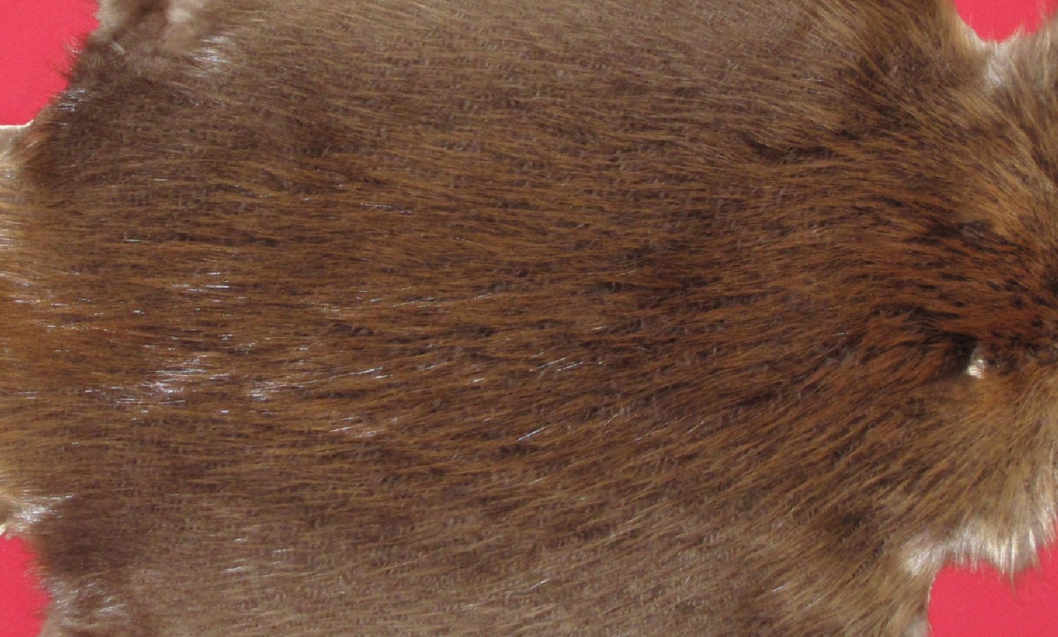 Thumbnail of this picture