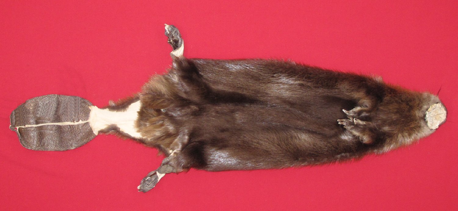 Thumbnail of this picture