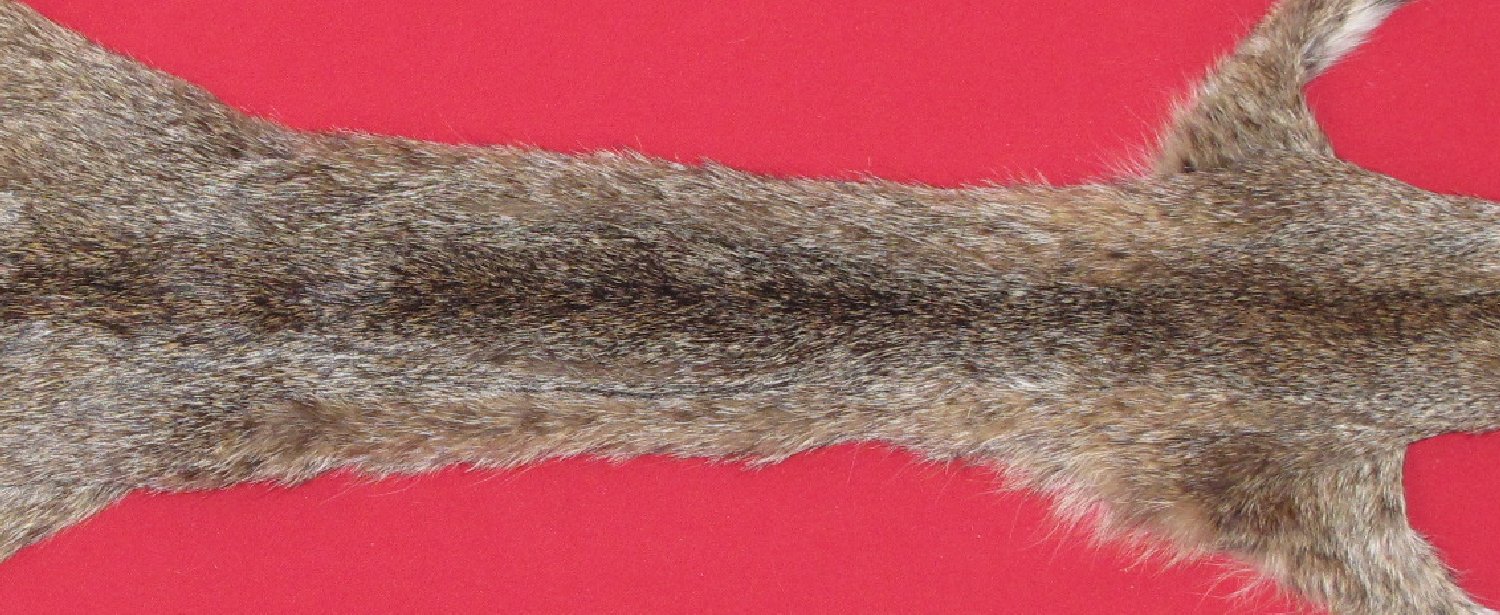 Thumbnail of this picture