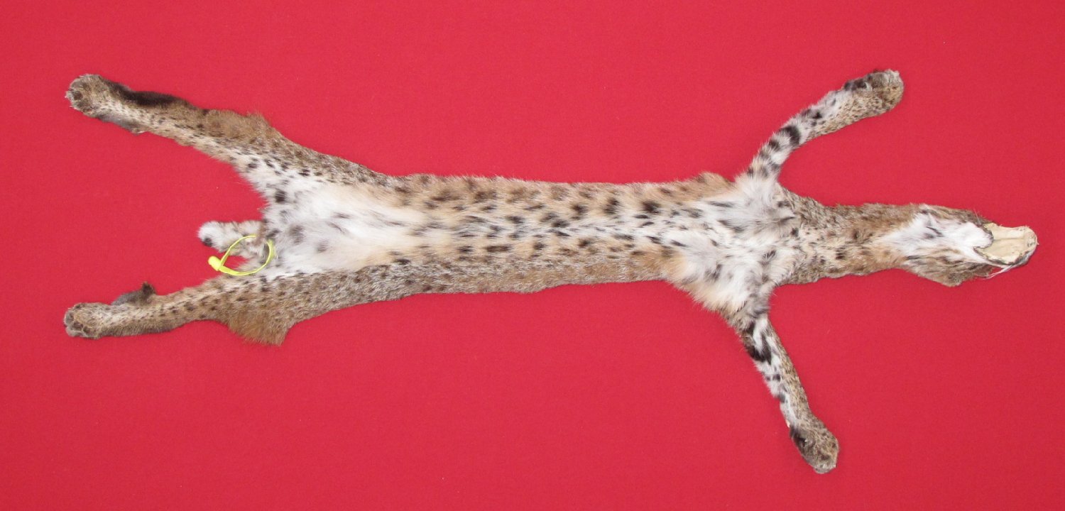 Thumbnail of this picture