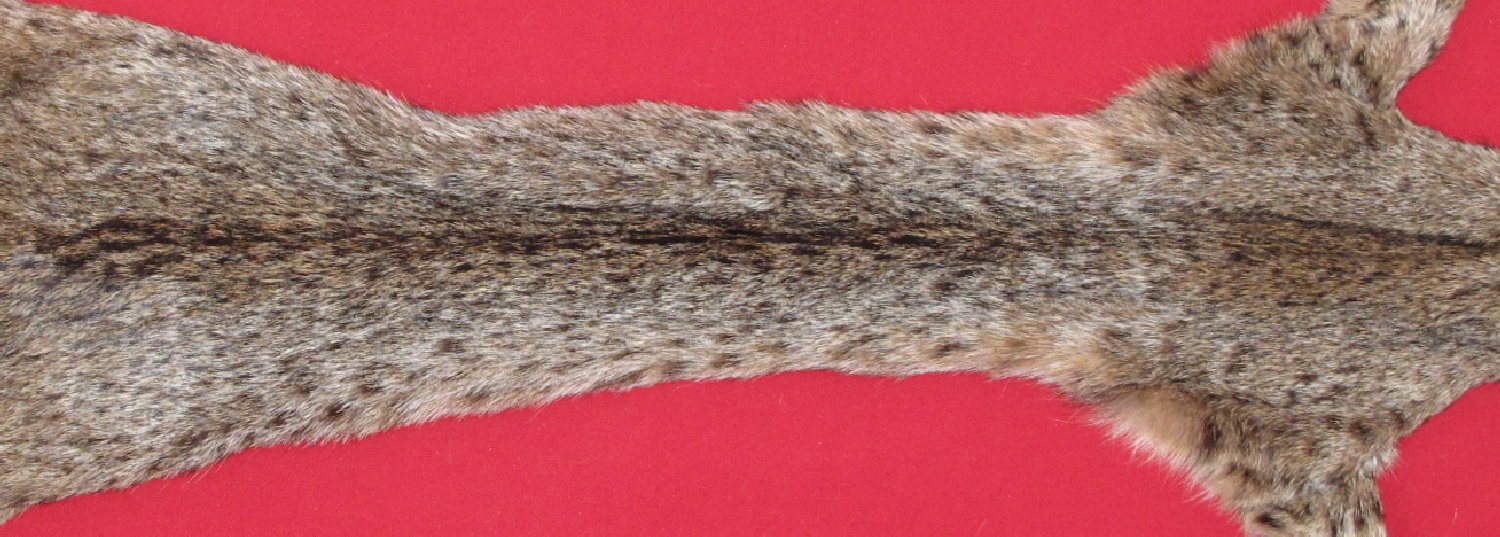 Thumbnail of this picture