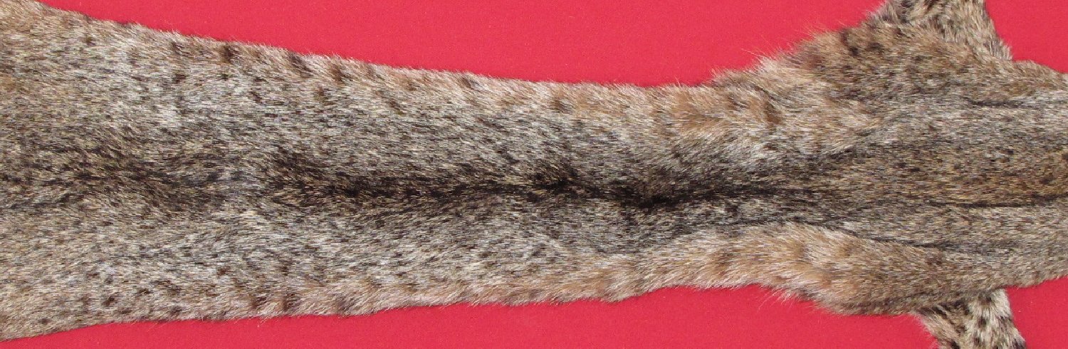 Thumbnail of this picture