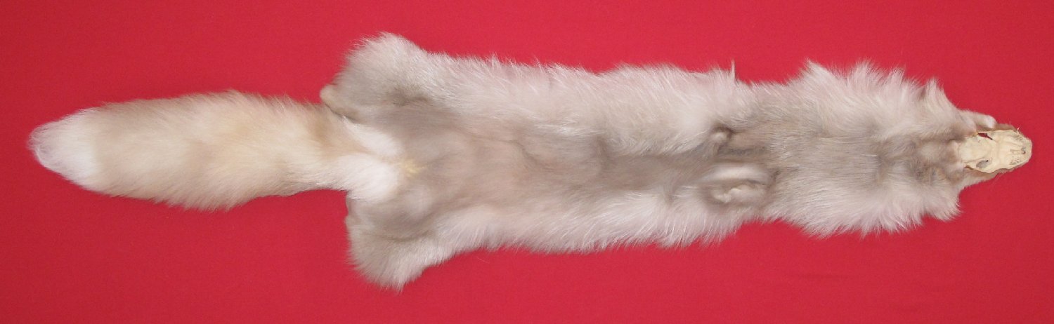 Thumbnail of this picture