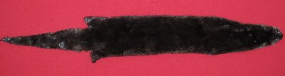 Picture of this lot Tanned Otter Hides, Pelts, Skins