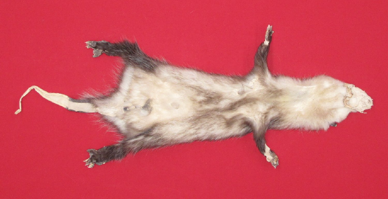 Thumbnail of this picture