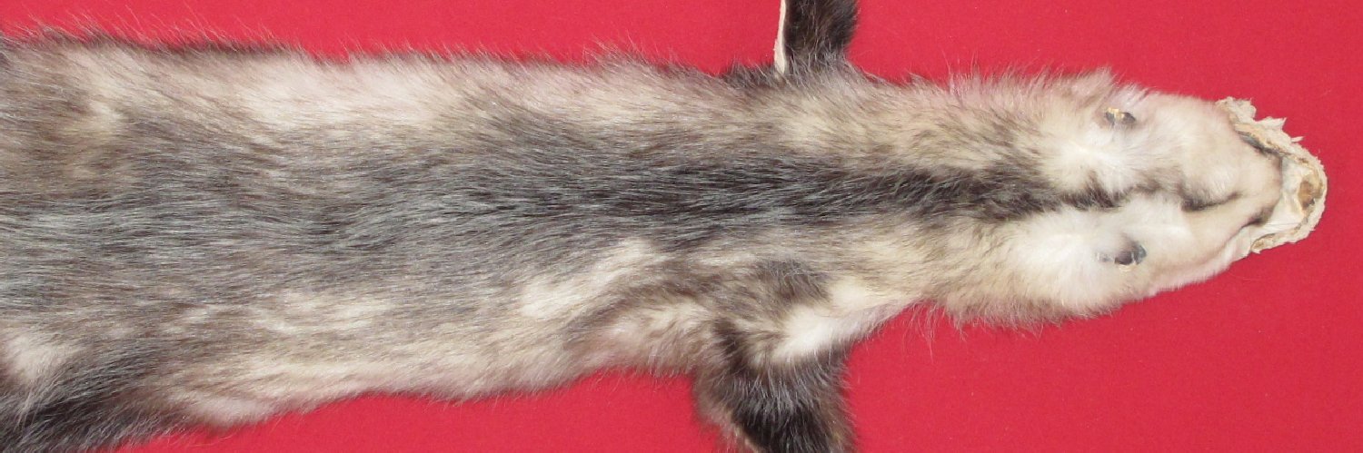 Thumbnail of this picture