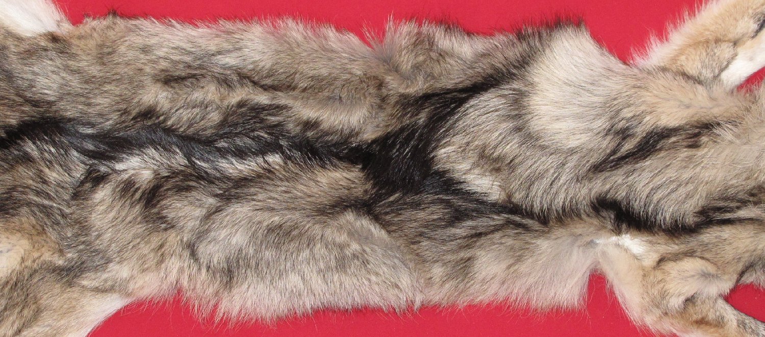 Thumbnail of this picture