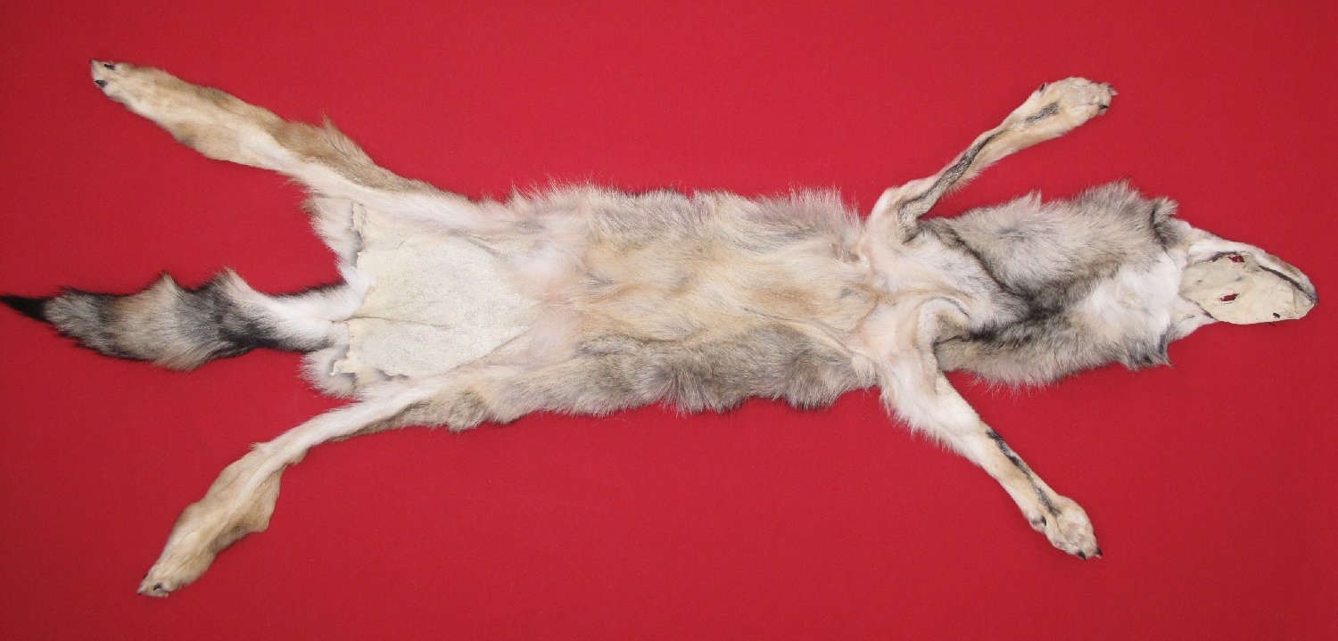 Thumbnail of this picture