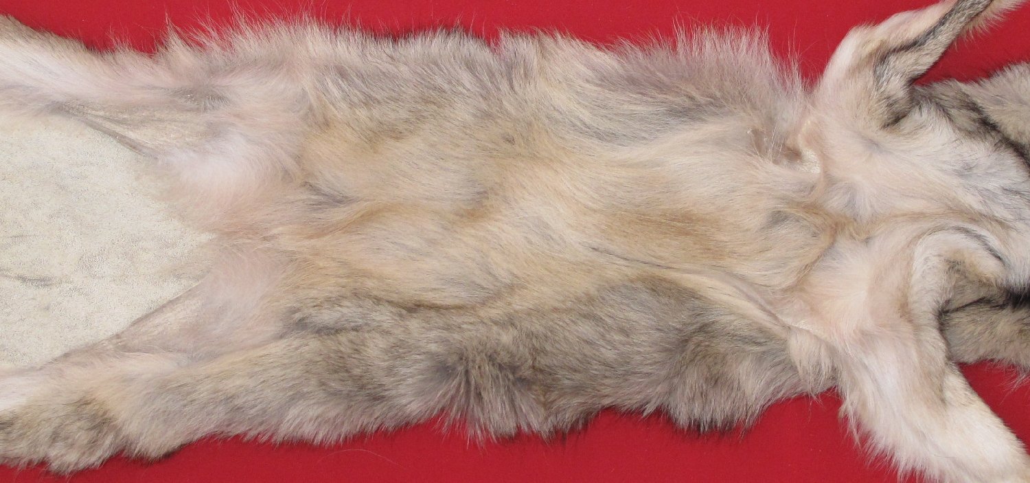 Thumbnail of this picture