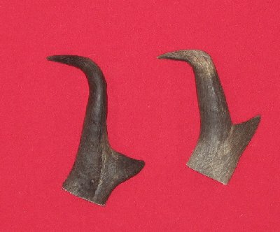 Picture of this lot Antelope Horns