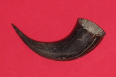 Picture of this lot Buffalo Horns