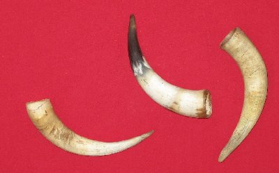 Picture of this lot Bull Beef Horns
