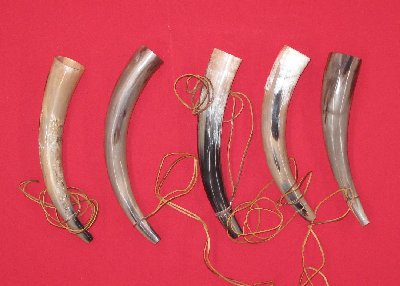 Picture of this lot Bull Beef Horns